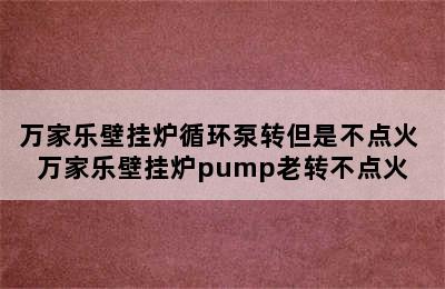 万家乐壁挂炉循环泵转但是不点火 万家乐壁挂炉pump老转不点火